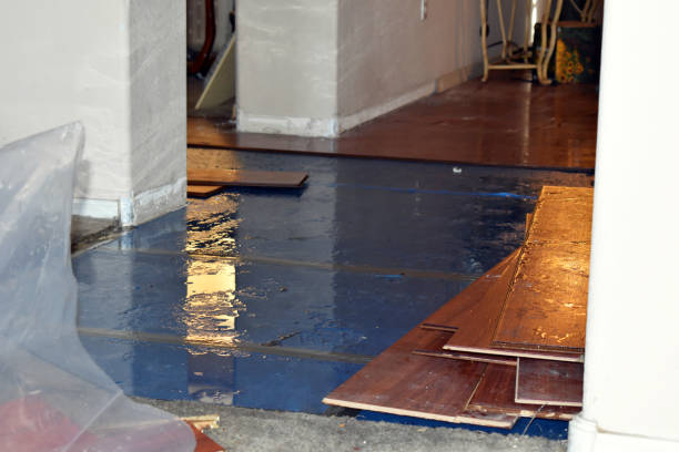 Professional Burst Pipe Cleanup technician working in Amlin, OH